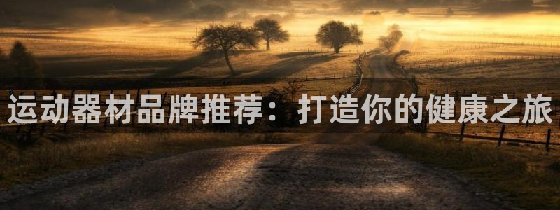 意昂体育3软件：运动器材品牌推荐：打造你的健康之旅