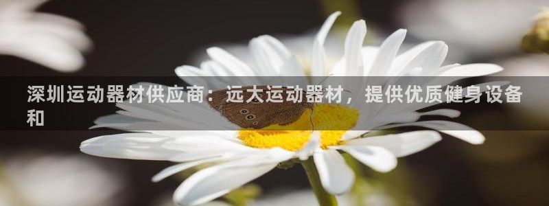 意昂体育3平台注册流程图：深圳运动器材供应商：远大运