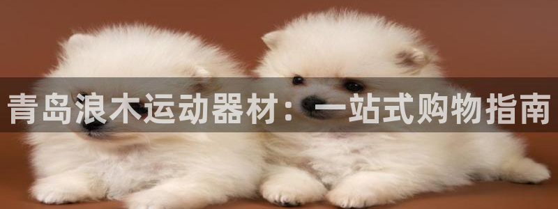 意昂3新能源：青岛浪木运动器材：一站式购物指南