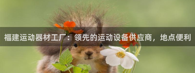 海南意昂体育3发展怎么样：福建运动器材工厂：领先的运