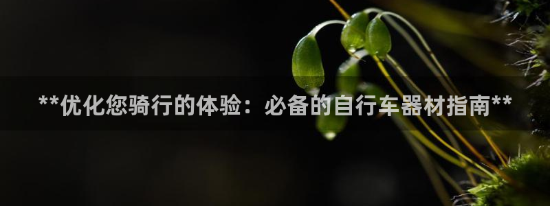 意昂体育3平台注册要钱吗安全吗：**优化您骑行的体验