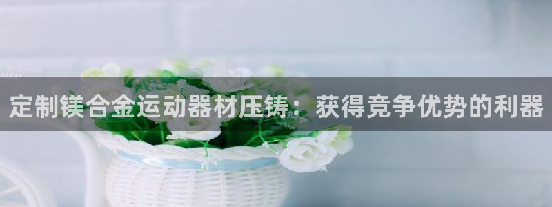 意昂体育3平台注册要钱吗安全吗：定制镁合金运动器材压铸：获得