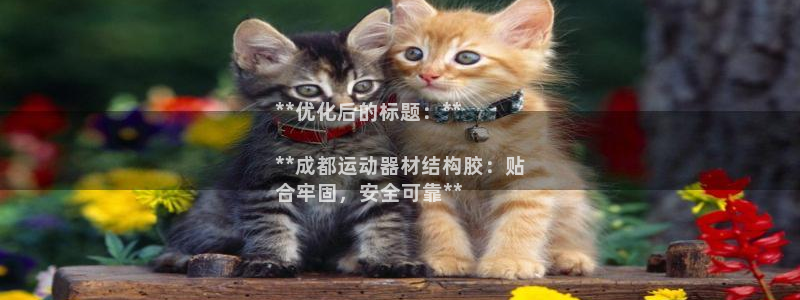 意昂3官方：**优化后的标题：**

**成都运动器