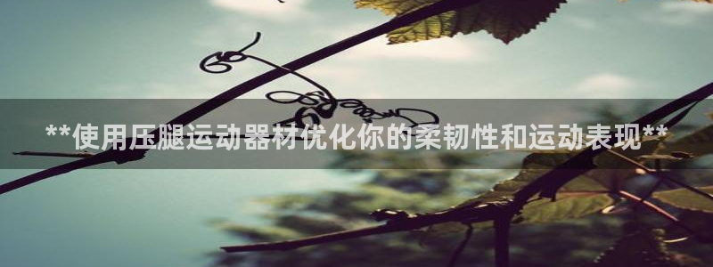 意昂3集团：**使用压腿运动器材优化你的柔韧性和运动表现**