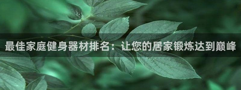意昂体育3：最佳家庭健身器材排名：让您的居家锻炼达到