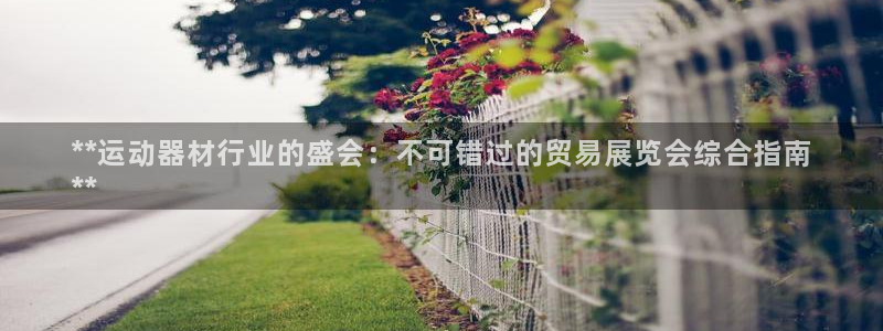 意昂体育3是干嘛的公司