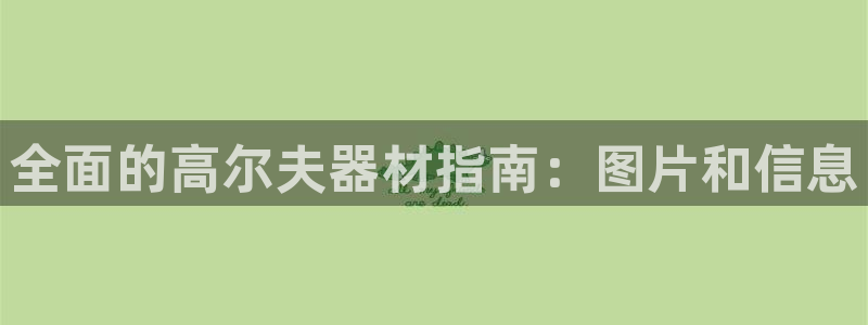 意昂3集团logo：全面的高尔夫器材指南：图片和信息