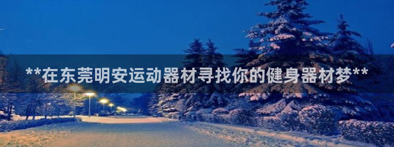 意昂平台体育：**在东莞明安运动器材寻找你的健身器材梦**
