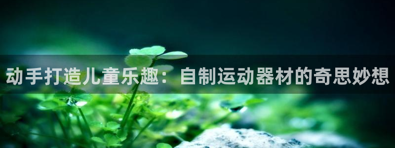 意昂体育3平台假的吗是真的吗吗：动手打造儿童乐趣：自