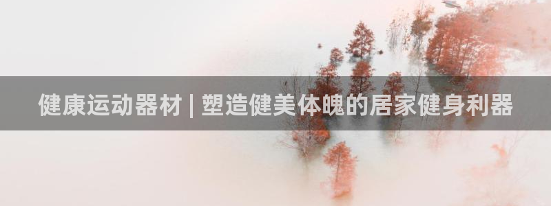意昂3代理：健康运动器材 | 塑造健美体魄的居家健身利器