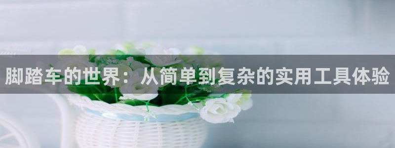 意昂3娱乐网站