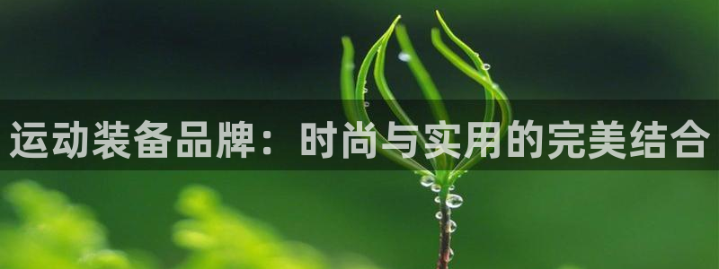 意昂3新能源