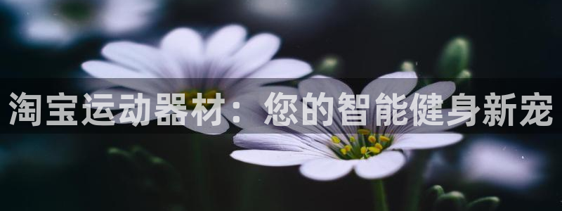 意昂3集团