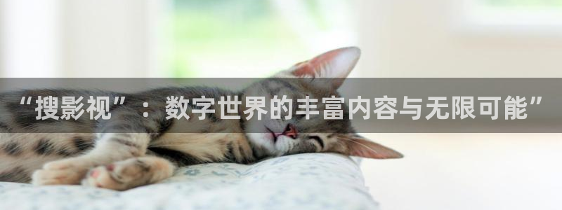 yy6080新视觉殇情影院