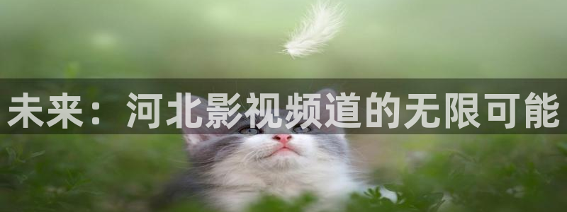 殇情影院影院